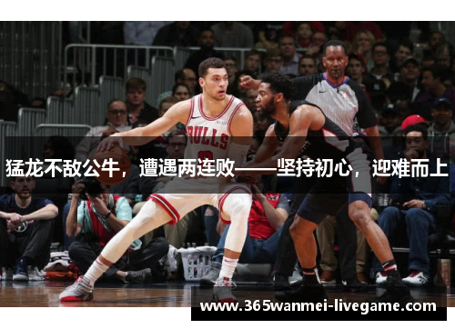 猛龙不敌公牛，遭遇两连败——坚持初心，迎难而上