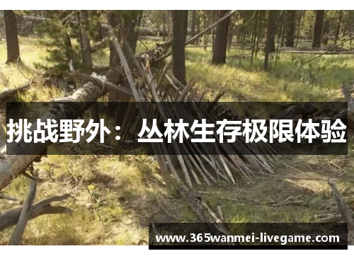 挑战野外：丛林生存极限体验