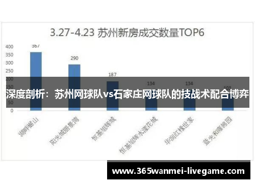 深度剖析：苏州网球队vs石家庄网球队的技战术配合博弈